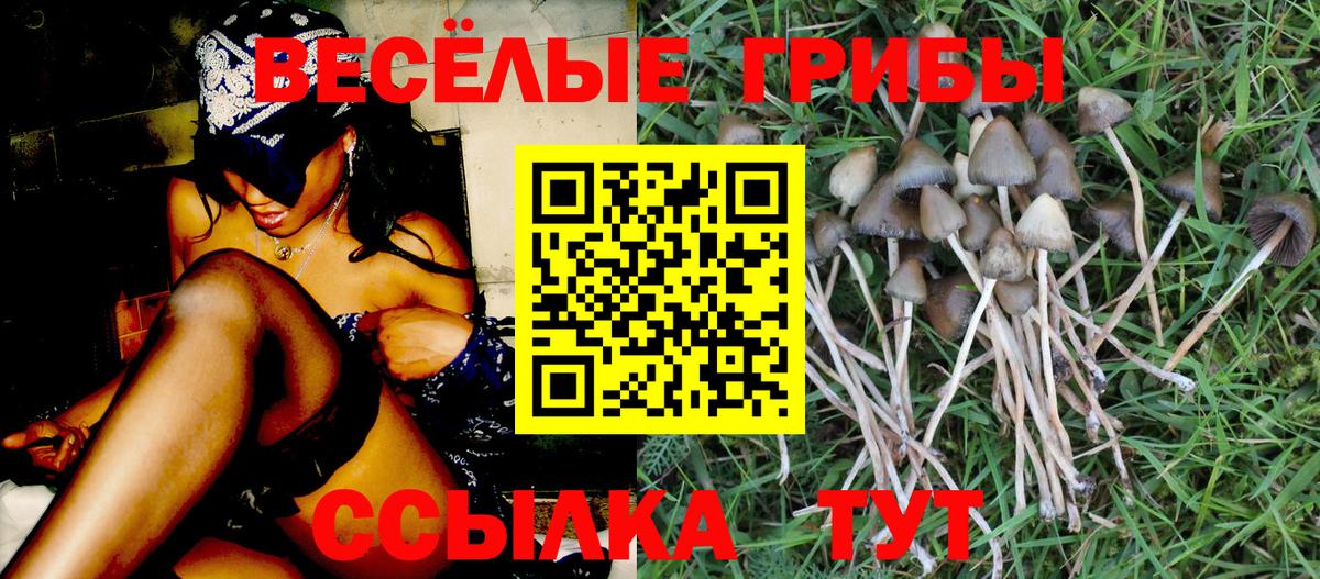 Черкесск  Псилоцибиновые грибы ЛСД  Псилоцибиновые грибы Magic Shrooms  Вход с VPN 