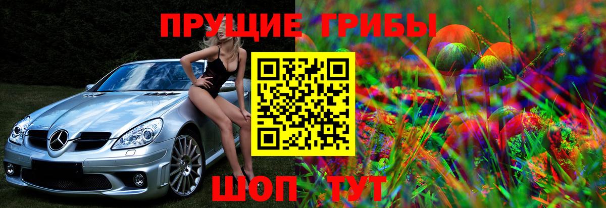 Псилоцибиновые грибы MAGIC MUSHROOMS Черкесск